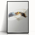 Romanticism Art: White-Headed Osprey Wildlife Illustration