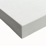 Romanticism Art: White-Headed Osprey Wildlife Illustration