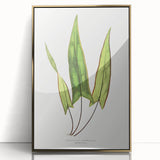 Detailed Art Realism - Doryopteris Sagittaefolia Fern Illustration Print
