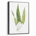Detailed Art Realism - Doryopteris Sagittaefolia Fern Illustration Print