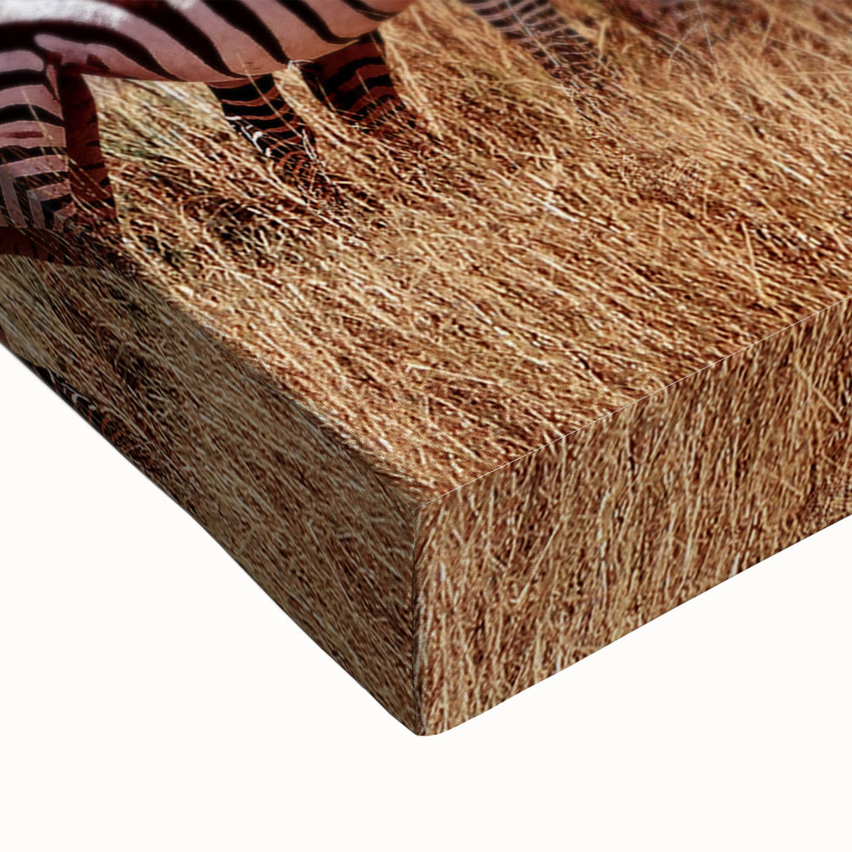 Large art depicting a black and white landscape of Tanzania on stretched canvas, suitable for bedroom wall decor.