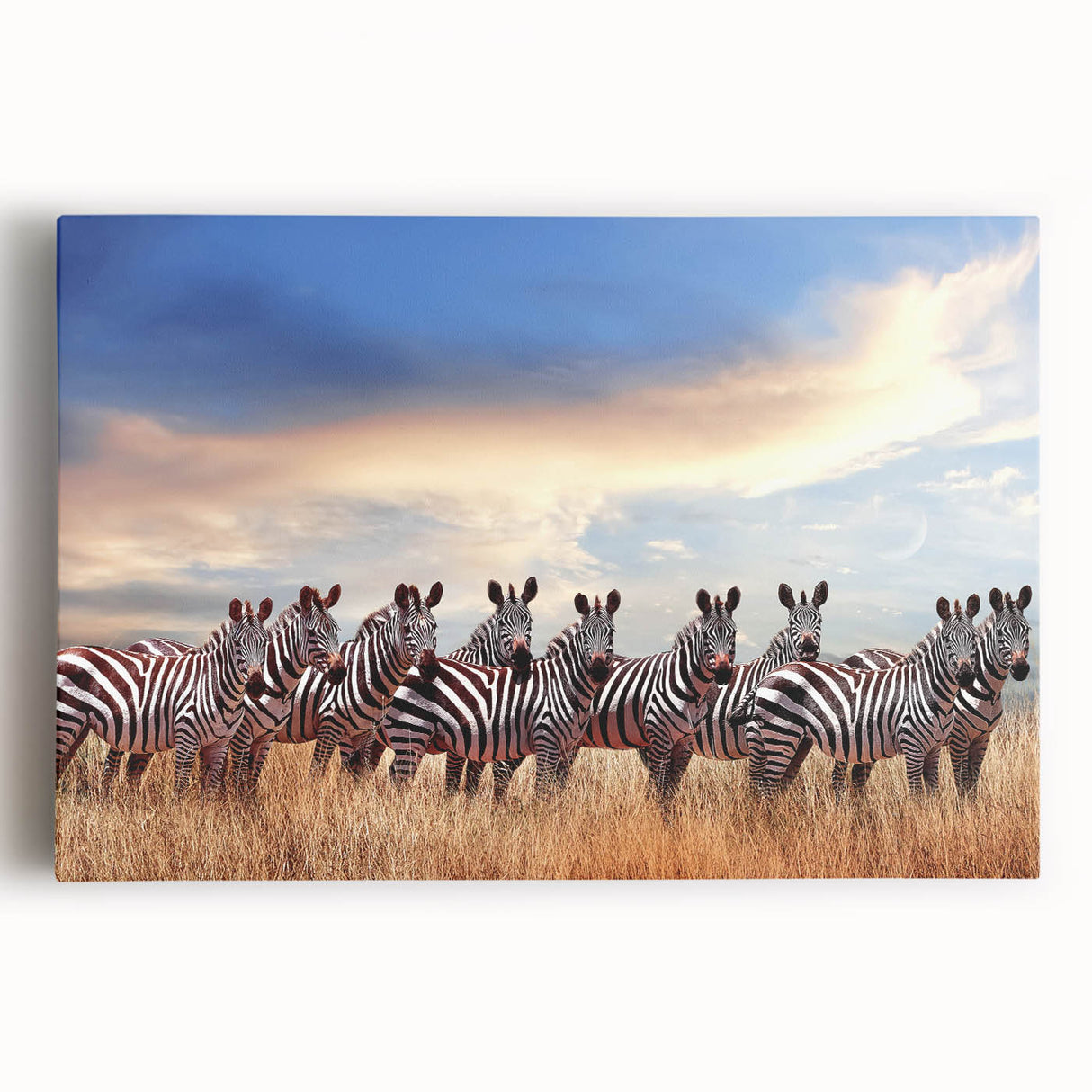 Black and white stretched canvas of African scenery, ideal for kitchen wall art or bedroom ambiance.