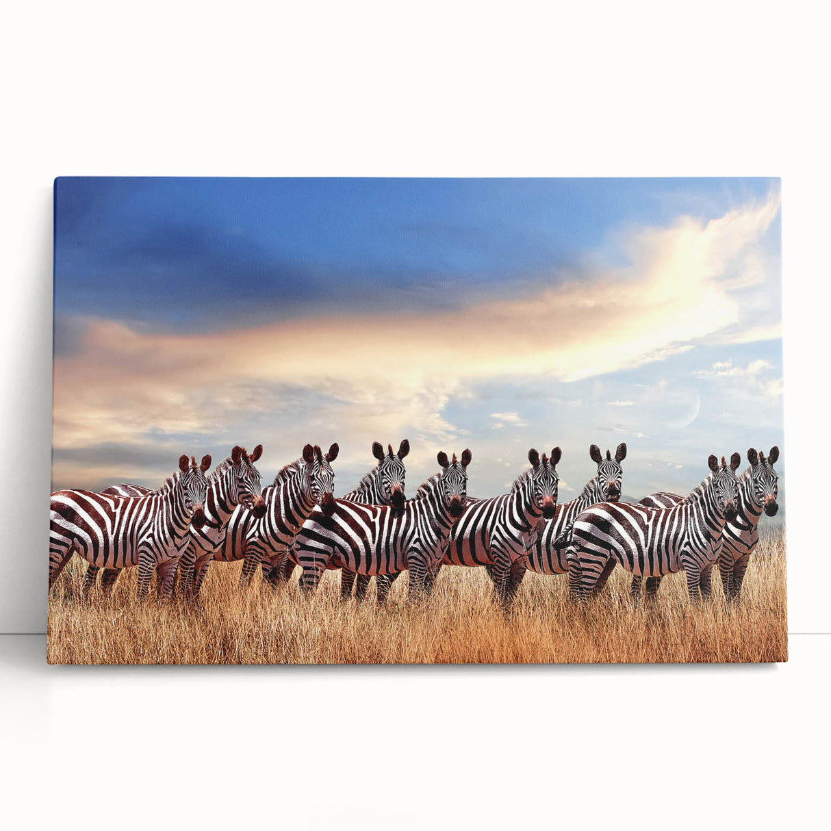 Large black and white stretched canvas of Tanzanian scenery, ideal for kitchen wall art.