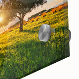 Large abstract wall art depicting a Sicilian landscape in muted earth tones on acrylic glass.