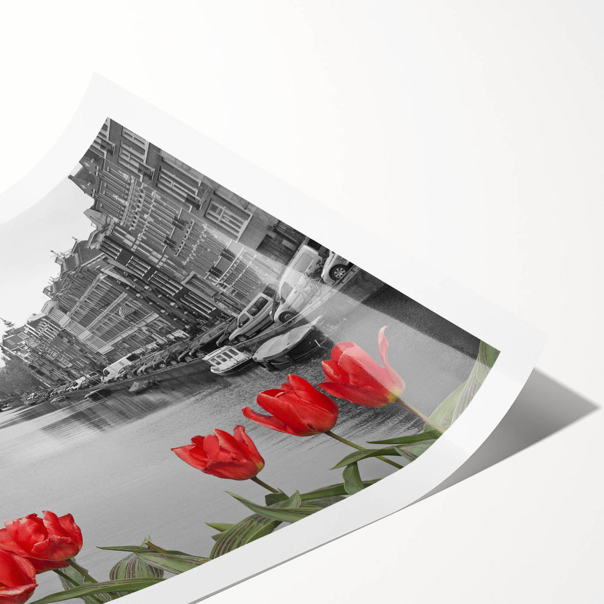 Extra large wall art featuring a line art depiction of flowers, in muted earth tones, printed on rolled canvas.