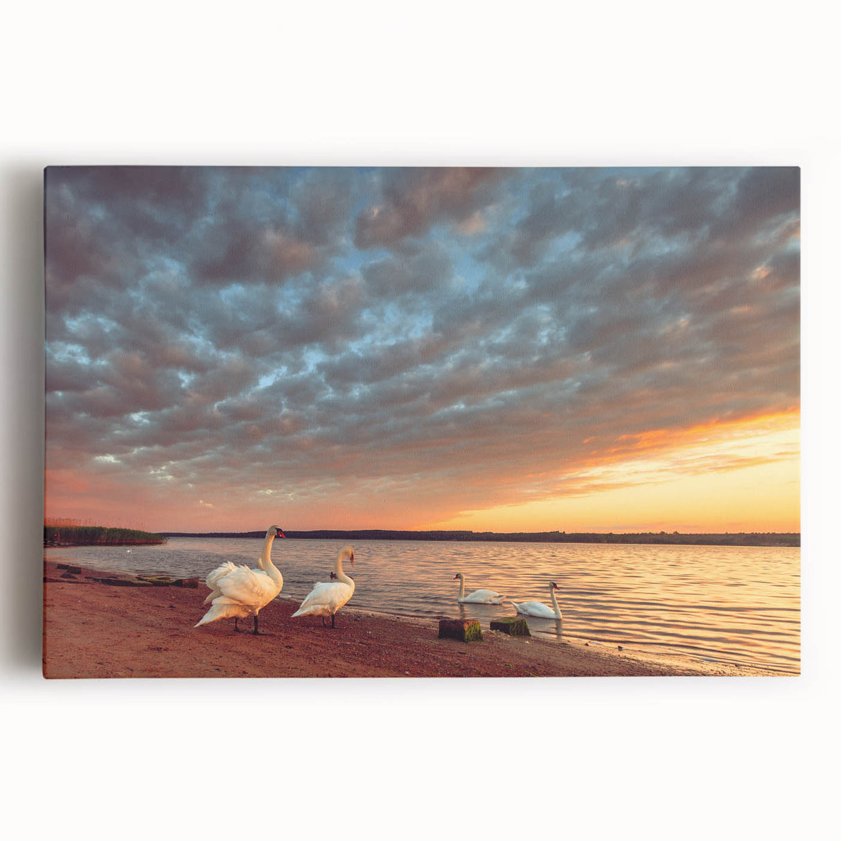 Black and white photograph of a Lithuanian landscape on stretched canvas, suitable as large kitchen wall art.
