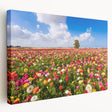 Middle Eastern landscape on stretched canvas, featuring muted earth tones, ideal for kitchen wall art.