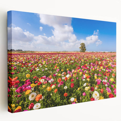 Middle Eastern landscape on stretched canvas, featuring muted earth tones, ideal for kitchen wall art.