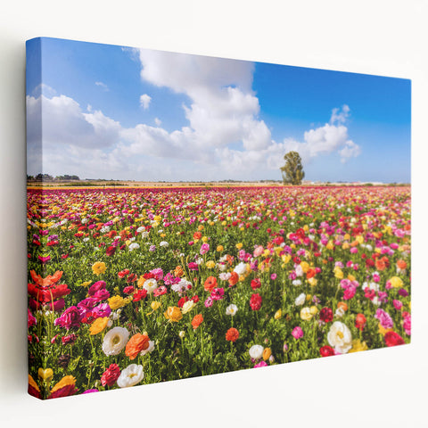 Middle Eastern landscape on stretched canvas, featuring muted earth tones, ideal for kitchen wall art.