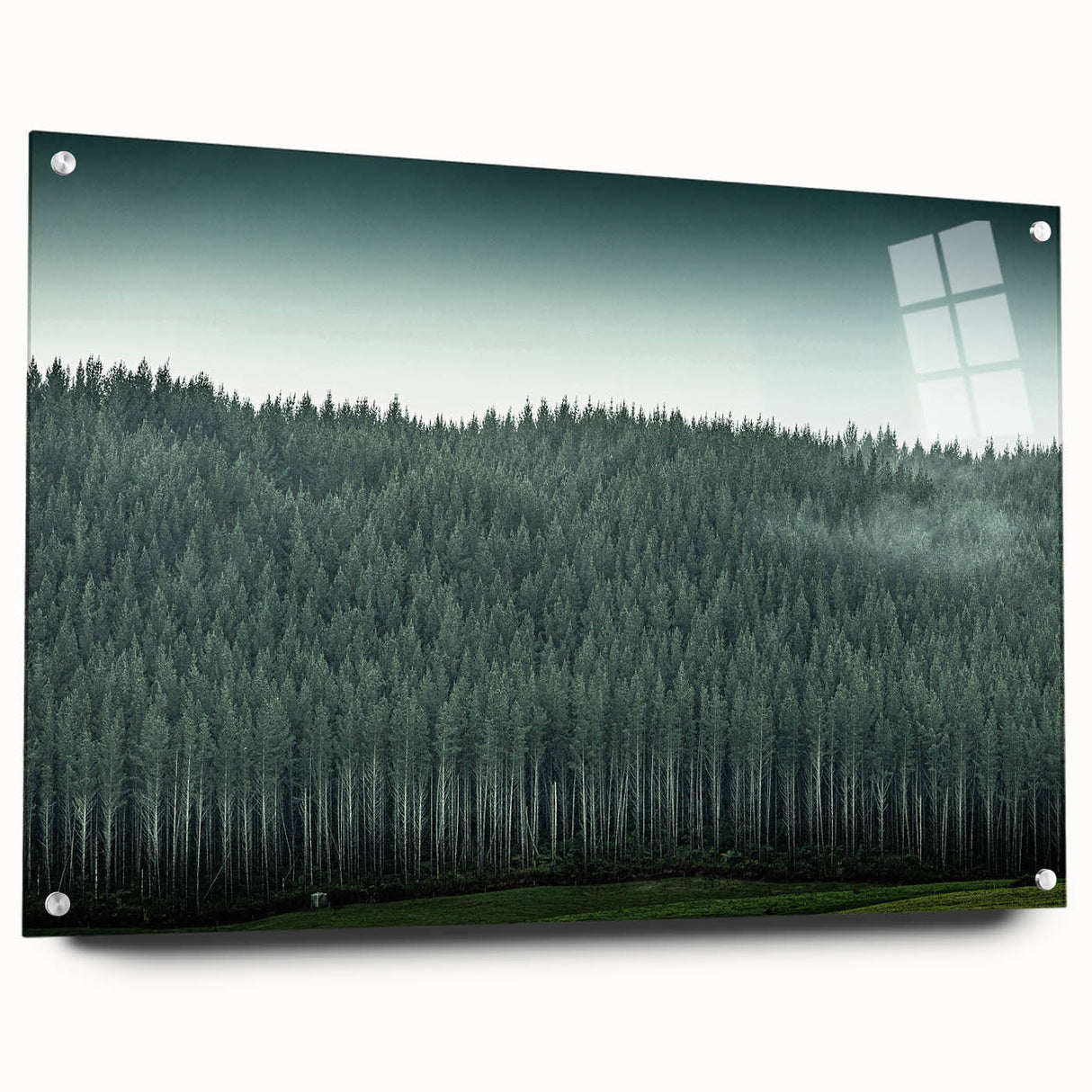 Acrylic print of Auckland skyline featuring muted blue and gray tones, ideal for dining room decor.