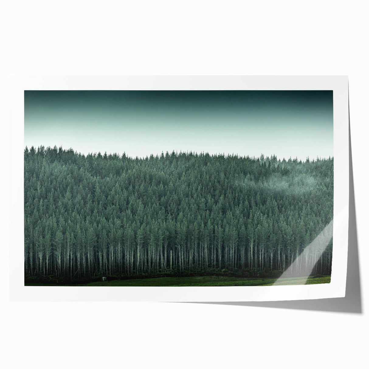Rolled print of Auckland skyline featuring muted blue and green tones, ideal for art wall dining room.