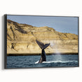 Black and white framed canvas of an Argentine landscape, ideal for bedroom wall art.