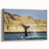 Framed canvas of a vintage-style landscape painting depicting a colorful Argentine scenery.