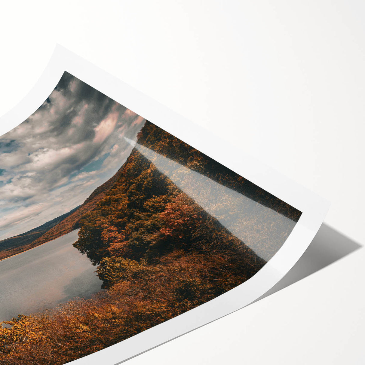 Extra large rolled print featuring line art flowers in neutral tones, ideal for large living room wall art.