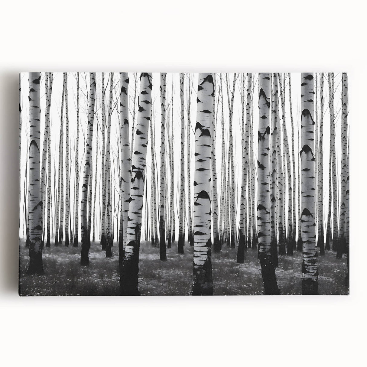Black and white photograph of Aspen, Colorado on large stretched canvas, suitable for kitchen wall art.
