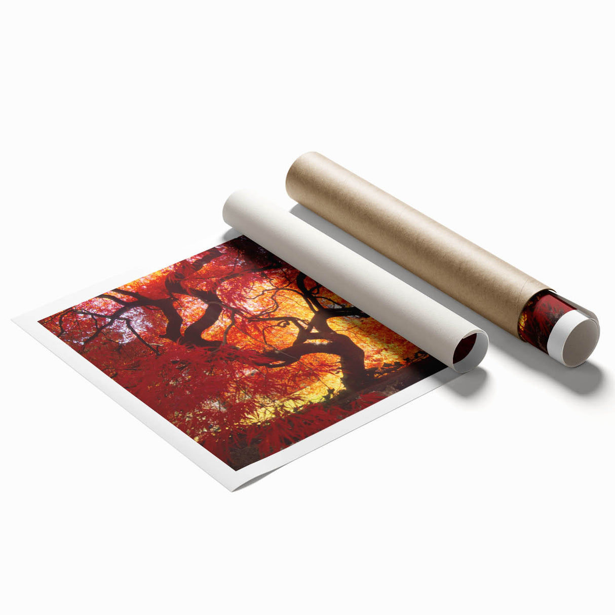 Extra large rolled print of Connecticut scenery with muted floral designs, ideal for classy bathroom wall art.