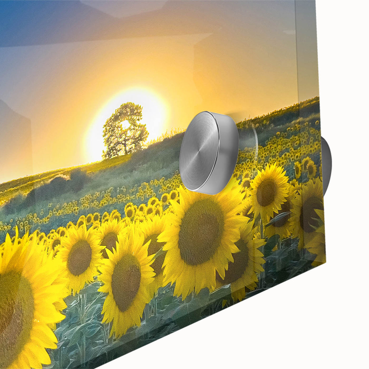 Large abstract wall art depicting Kansas scenery in muted earth tones on acrylic glass, ideal for dining room ambiance.