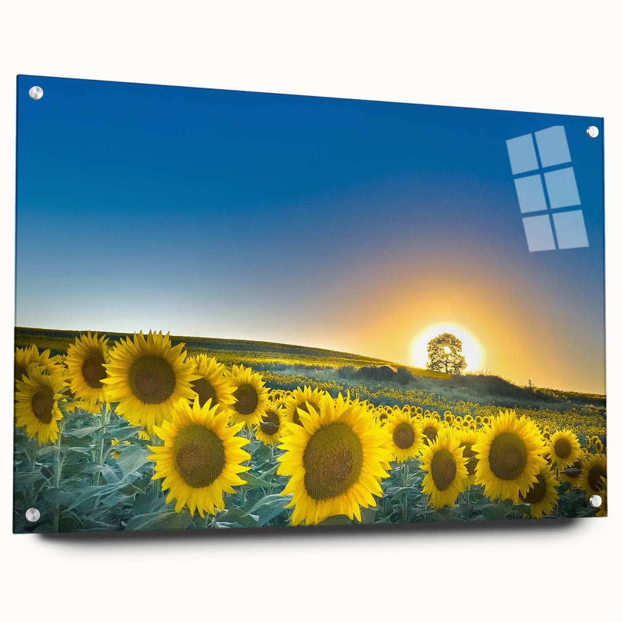 Acrylic print of a Kansas scenery in muted earth tones, ideal for dining room decor.