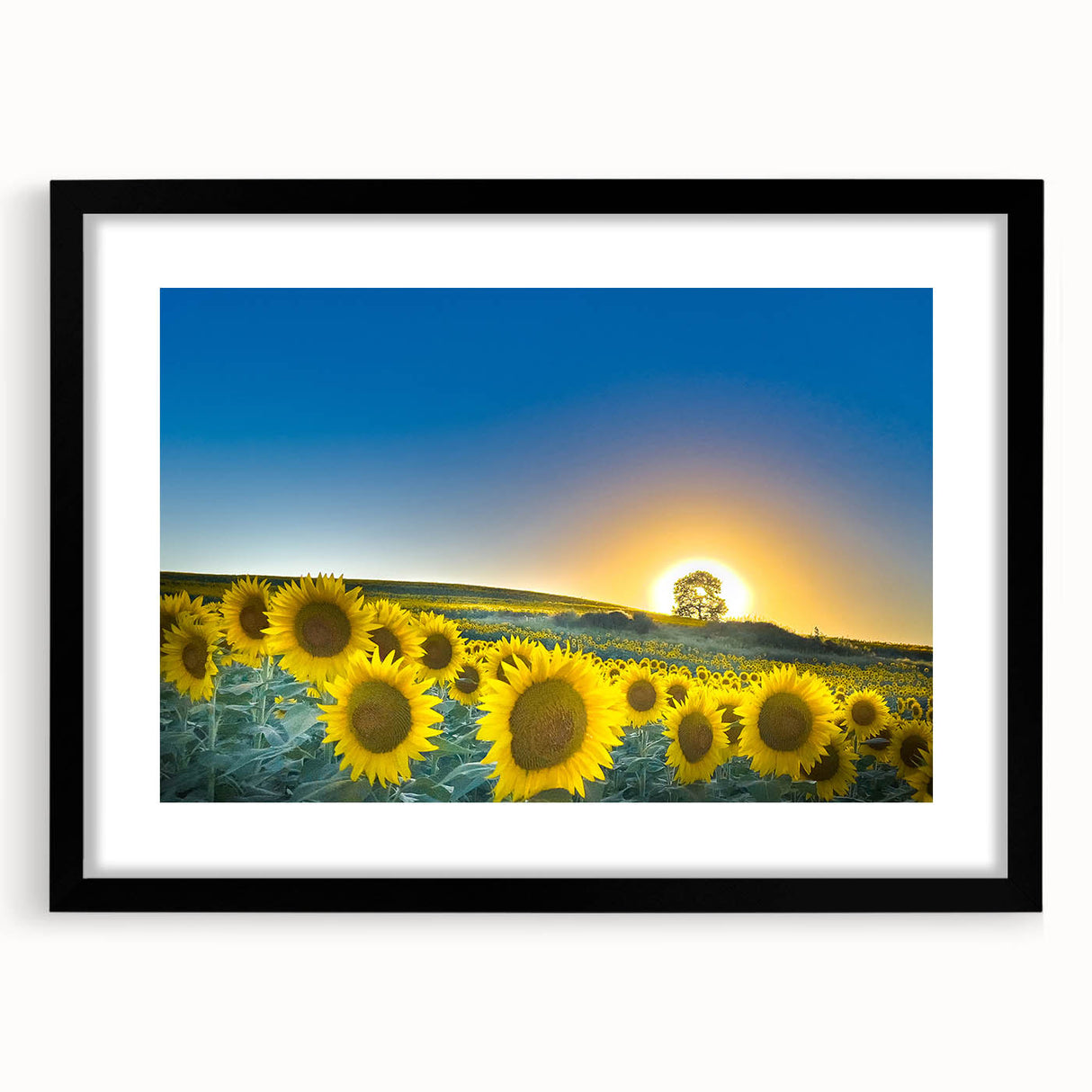 Extra large abstract art print of colorful, textured Kansas scenery in black frame, ideal for living room decor.