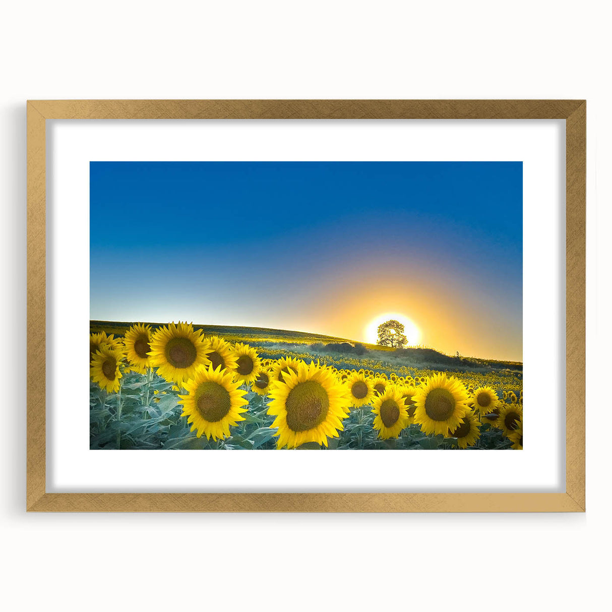 Extra large abstract art print of textured Kansas scenery in gold frame, ideal for living room decor.