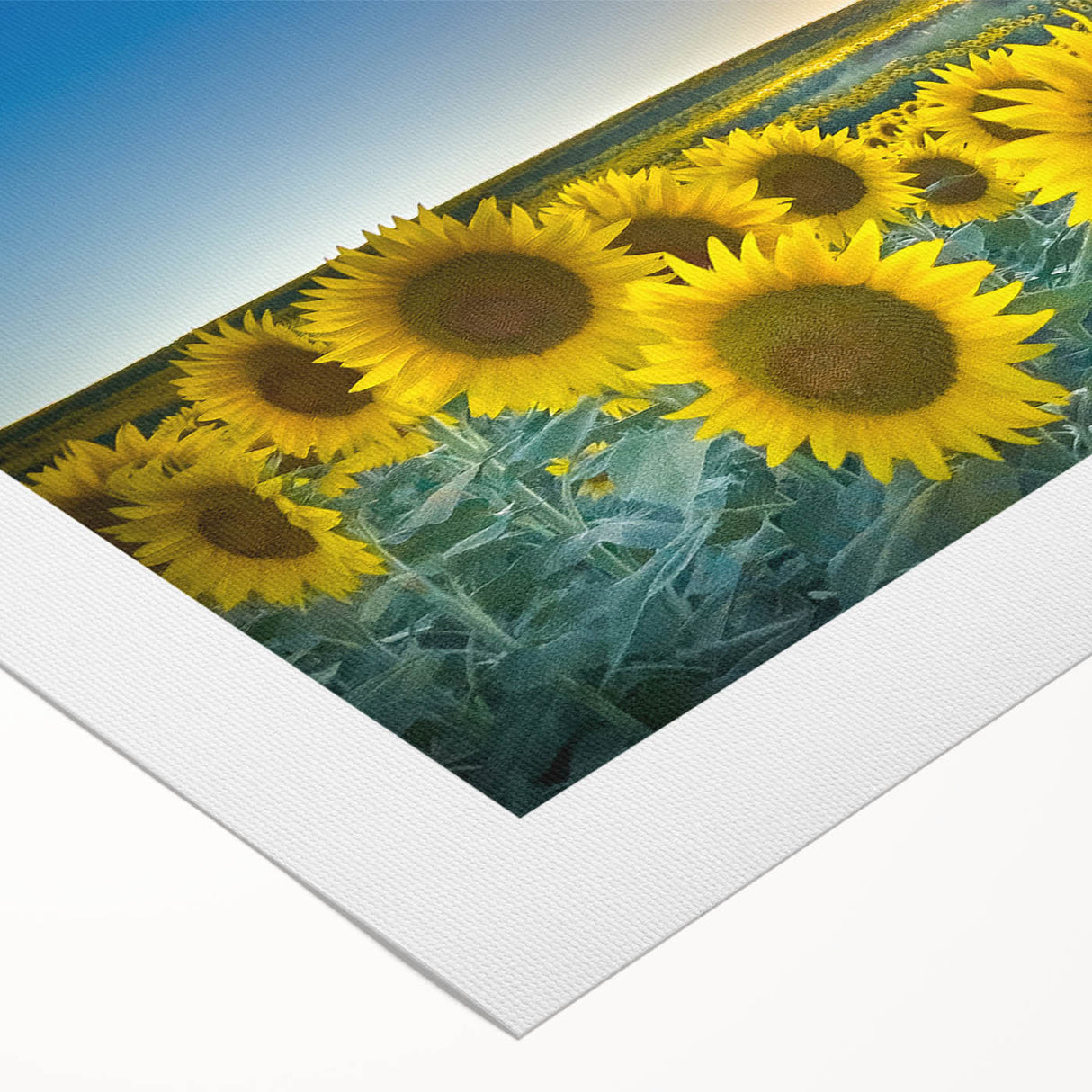 Art Deco poster depicting a Kansas scenery in muted earth tones on rolled canvas, suitable for dining room wall art.