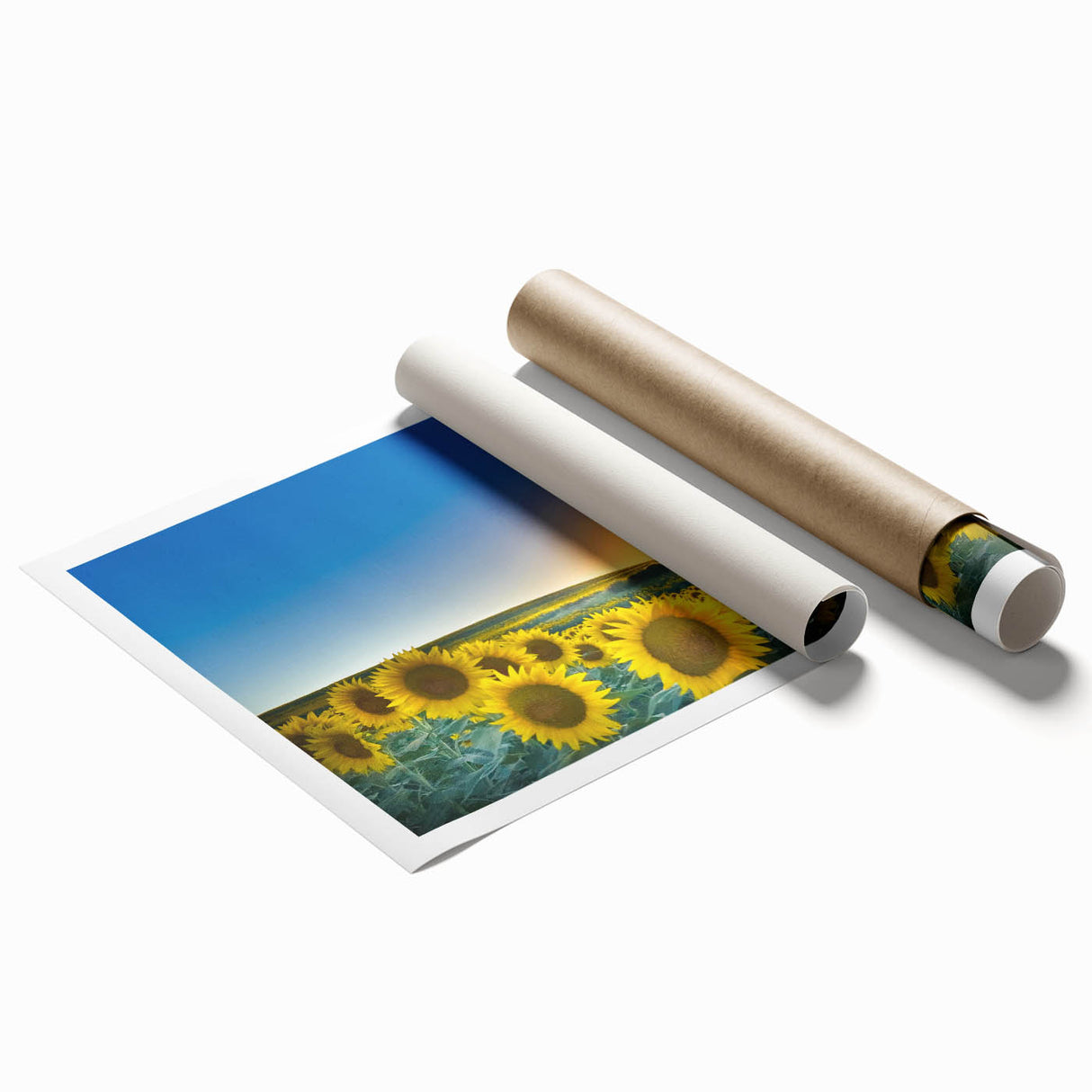 Extra large rolled print featuring a serene Kansas landscape with soft, floral motifs in pastel shades.