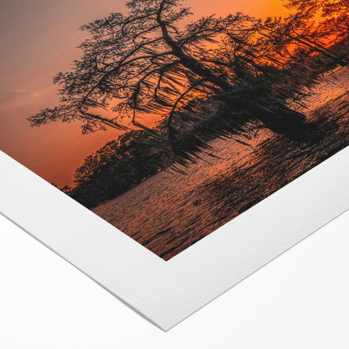 Art deco poster of Louisiana scenery in muted earth tones on rolled canvas, suitable for dining room wall art.