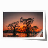 Extra large rolled print of Louisiana scenery with vibrant floral elements, ideal for art wall dining room.