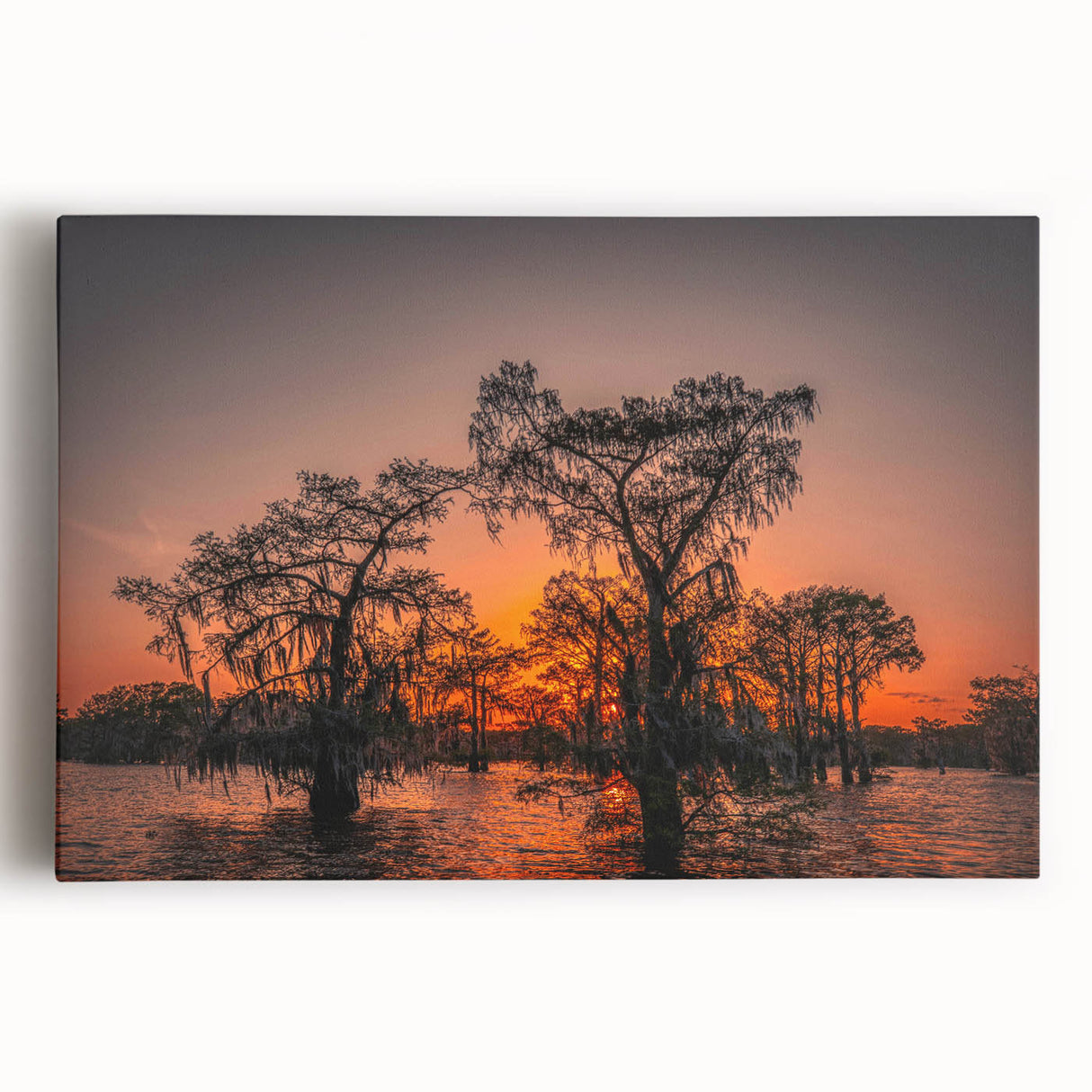 Black and white large art print of Louisiana scenery on stretched canvas, suitable for kitchen wall art.