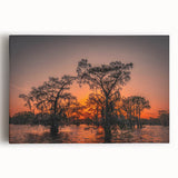 Black and white large art print of Louisiana scenery on stretched canvas, suitable for kitchen wall art.