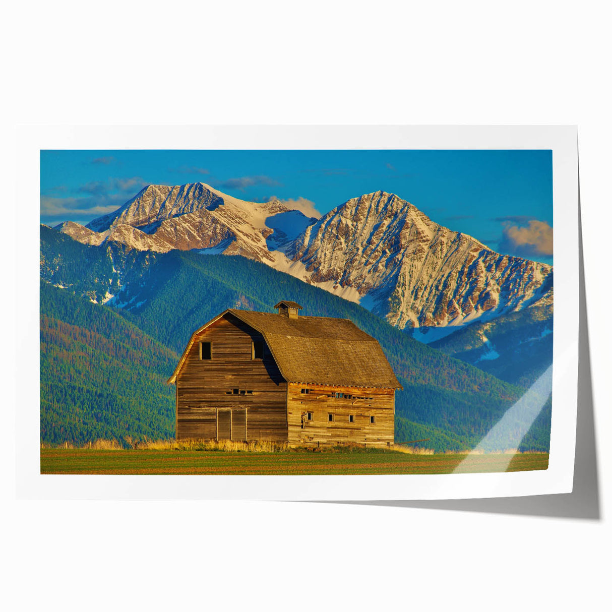 Extra large rolled print of Montana scenery with vibrant green fields and distant mountains, ideal for dining room wall art.
