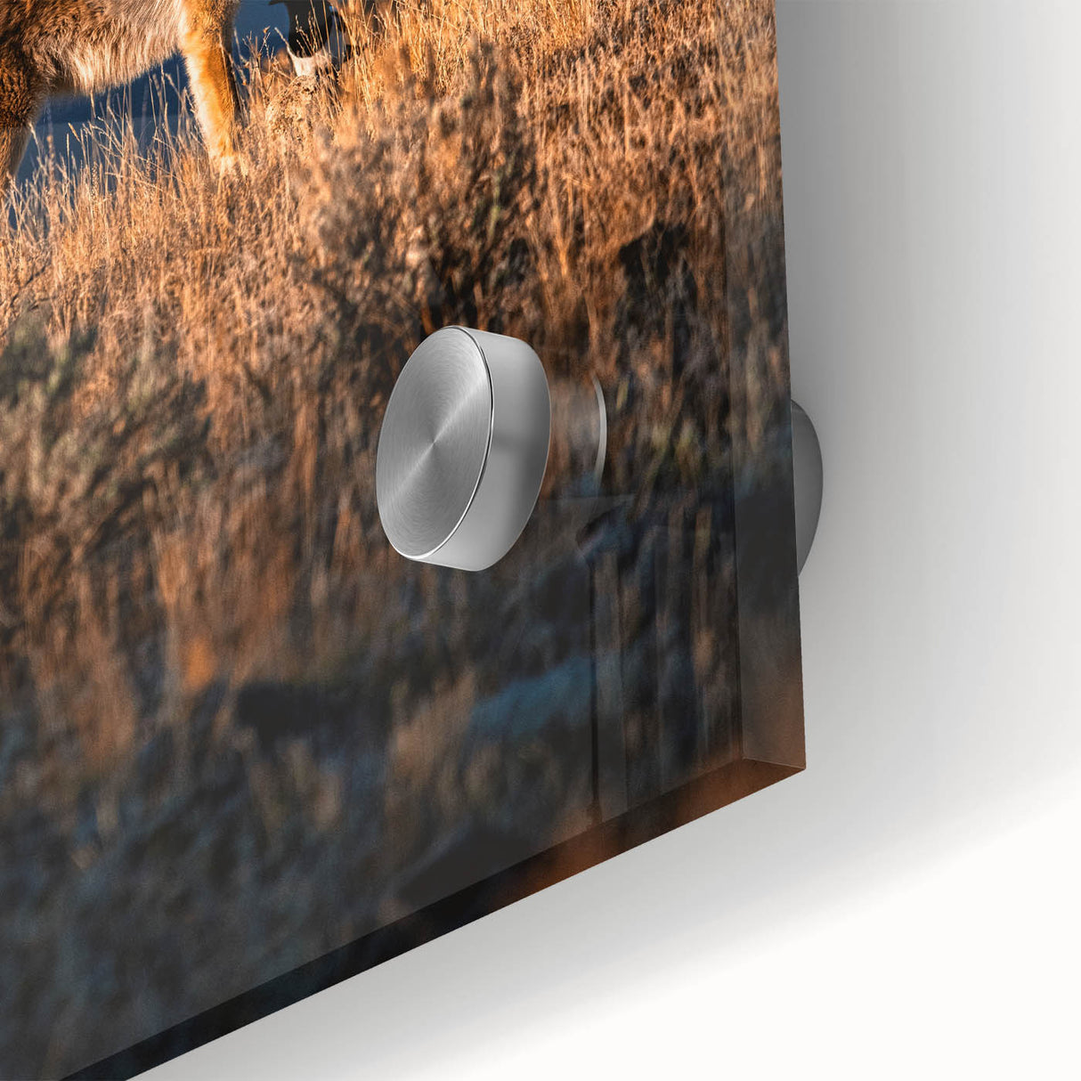 Large abstract depiction of Yellowstone scenery in muted earth tones on acrylic glass, ideal for dining room art.