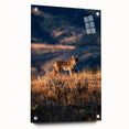 Acrylic print of Yellowstone scenery with vibrant green and blue tones, suitable for bedroom or dining room decor.