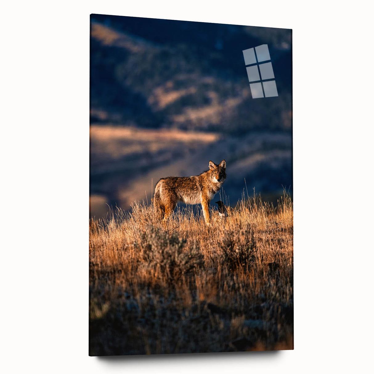 Yellowstone landscape on large acrylic glass, with muted earth tones, perfect for bedroom or dining room art.
