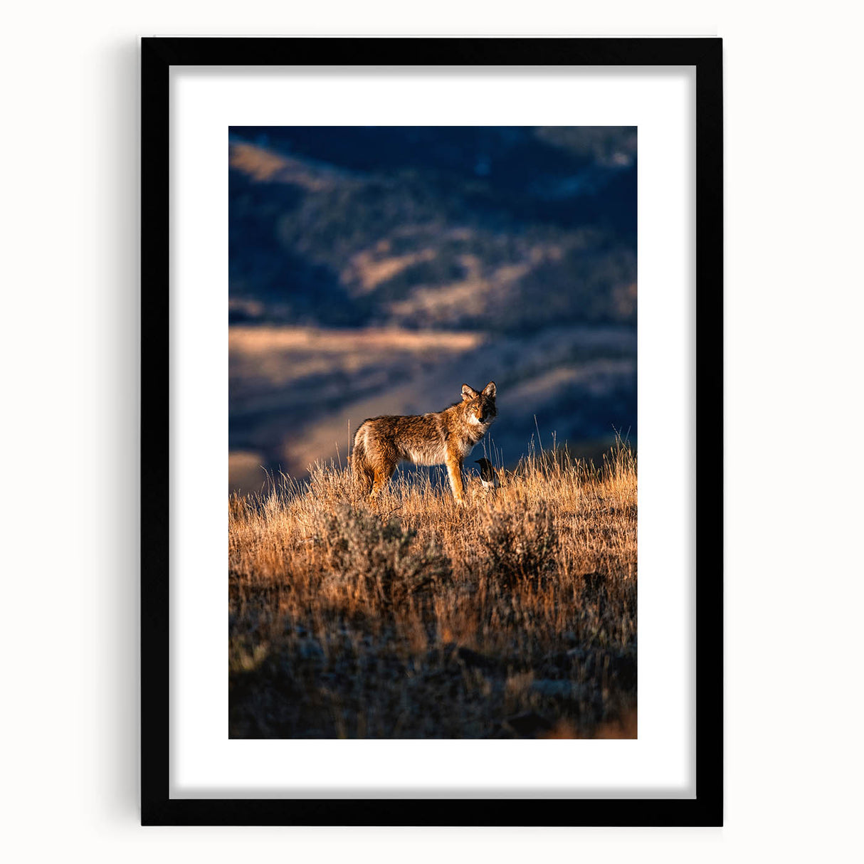 Abstract art print of Yellowstone with vibrant colors on a textured, extra-large canvas, ideal for living room decor.