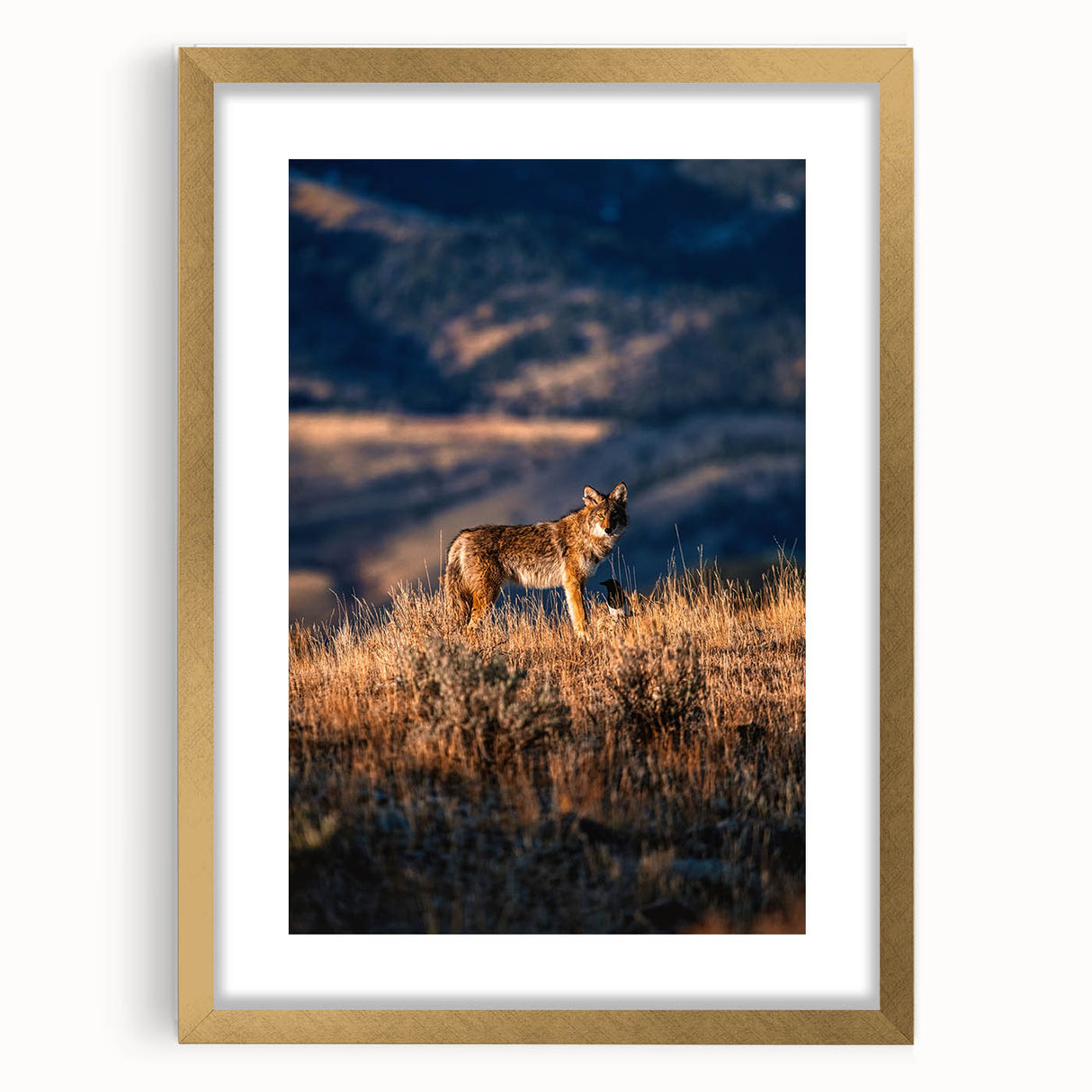 Extra large abstract art print of Yellowstone scenery in muted earth tones on a framed canvas, ideal for living room decor.