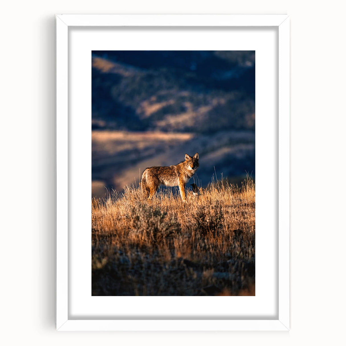 Abstract art print of Yellowstone scenery in muted earth tones on a white framed mat, ideal for dining room decor.