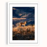Abstract art print of Yellowstone scenery in muted earth tones on a white framed mat, ideal for dining room decor.