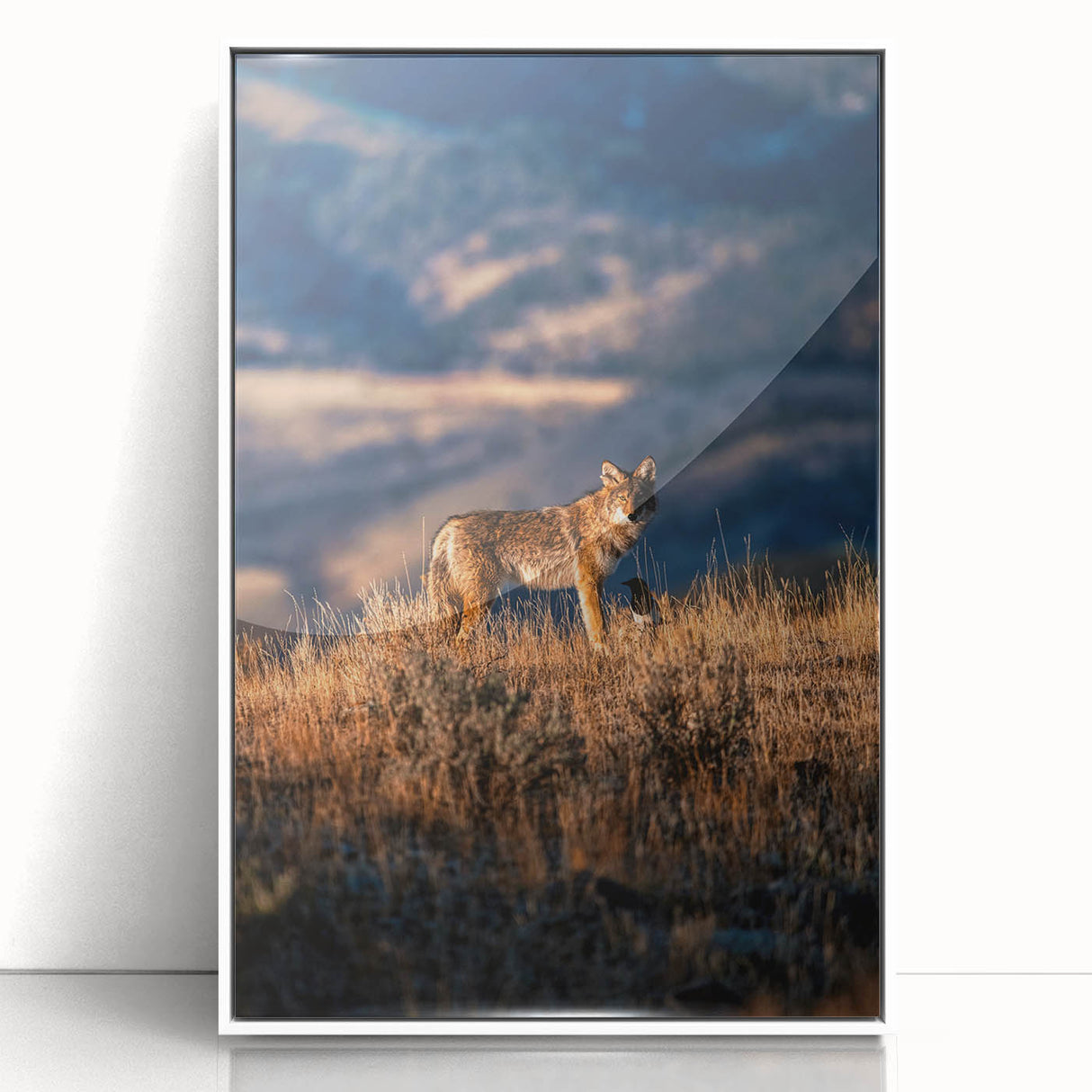 Framed acrylic print of Yellowstone National Park in muted earth tones, ideal for modern art wall decor.