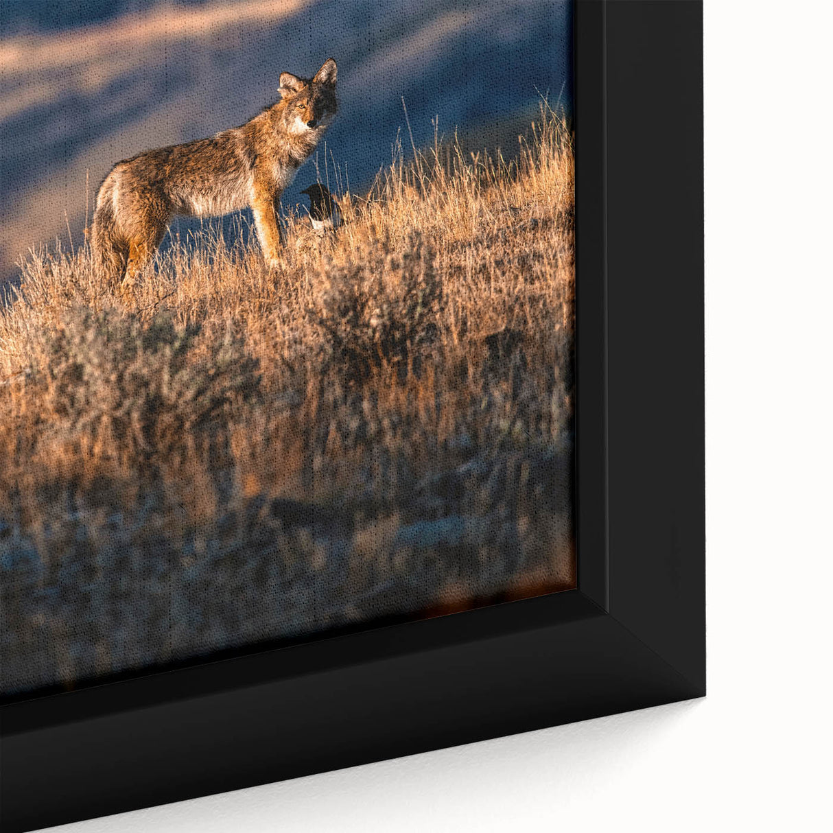 Framed canvas depicting a textured, colorful Yellowstone scenery in black wall art, ideal for large living room decor.