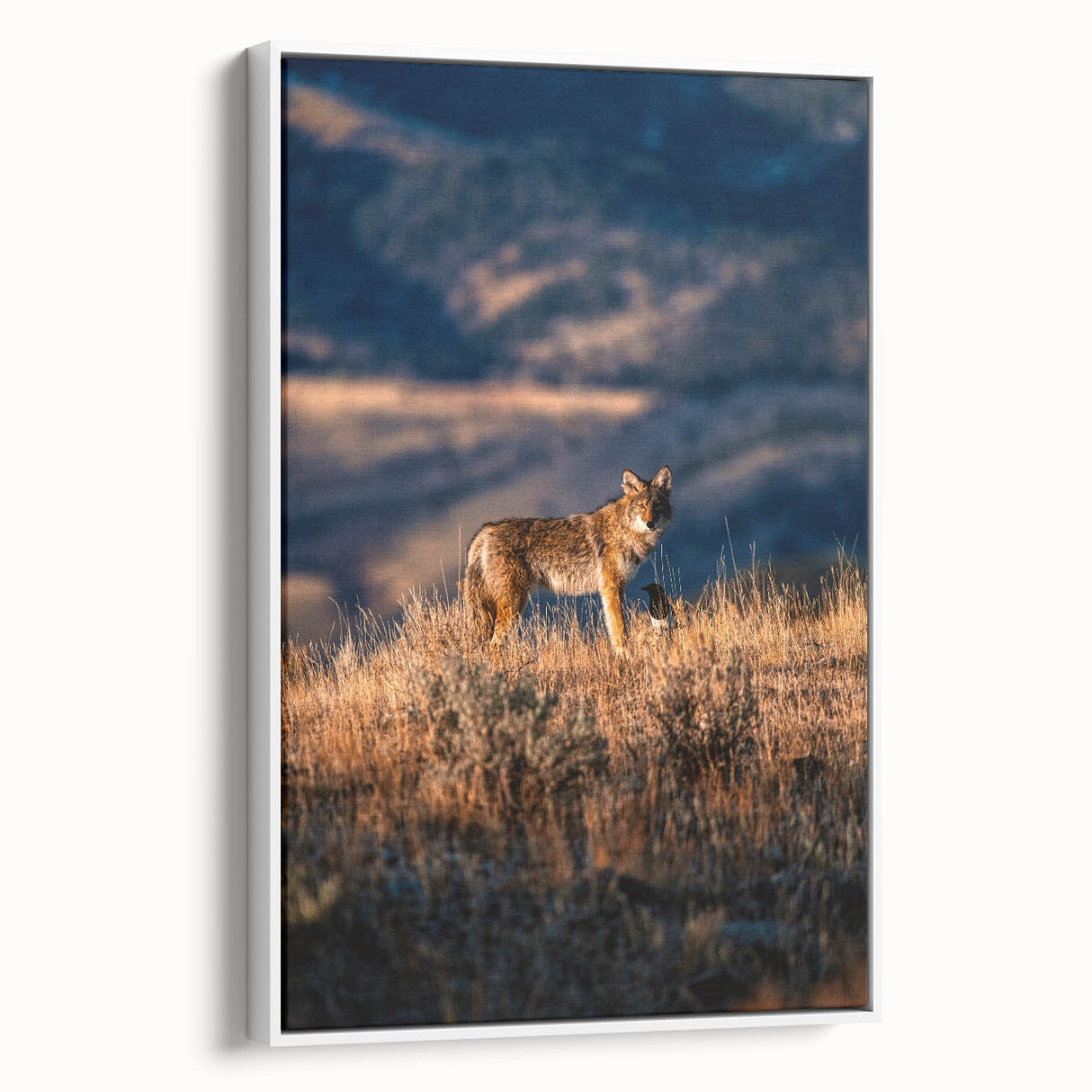 Vintage poster art of Yellowstone landscape on framed canvas, featuring colorful art with black accents.