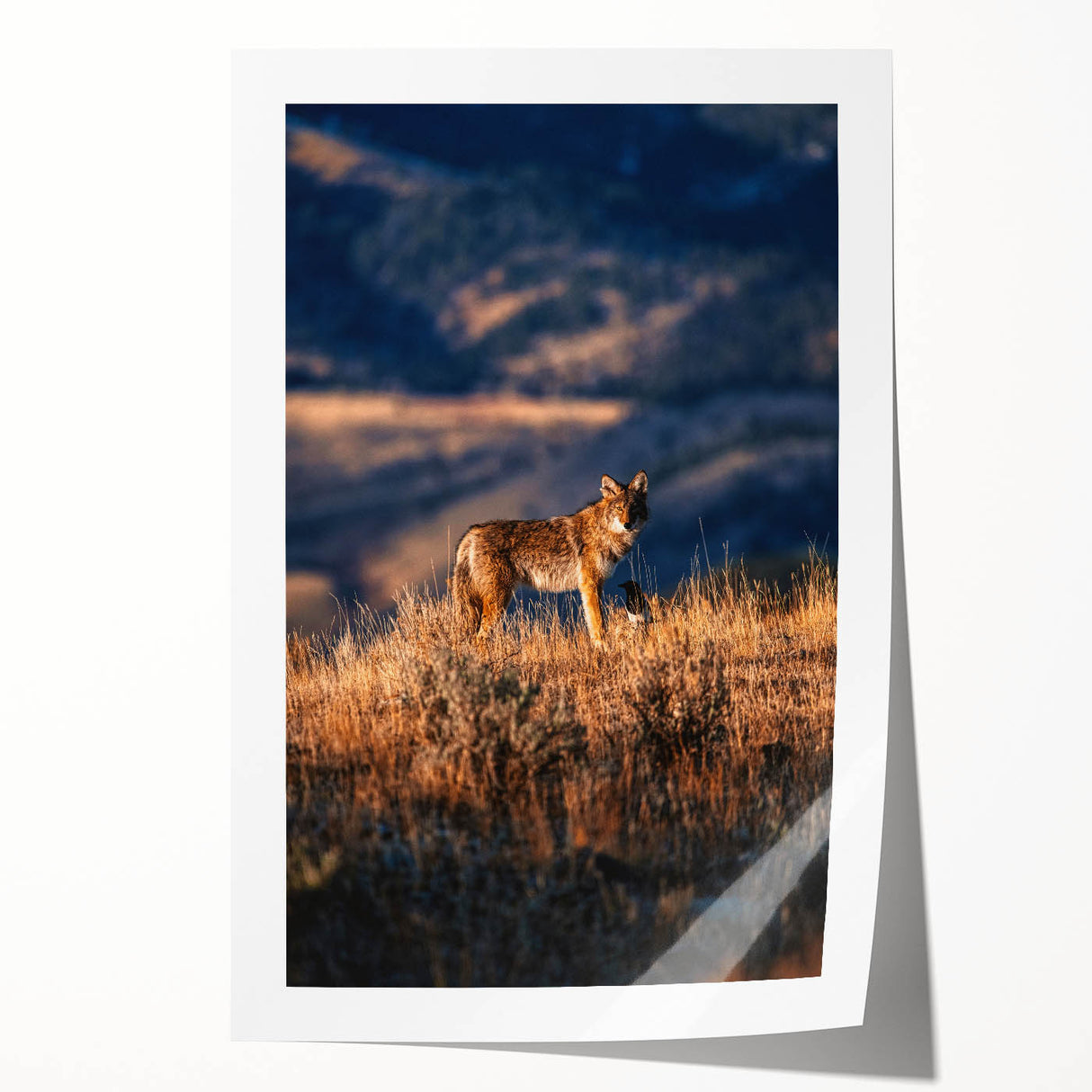 Yellowstone scenic landscape in muted green and blue tones on rolled canvas, ideal for art wall dining room.