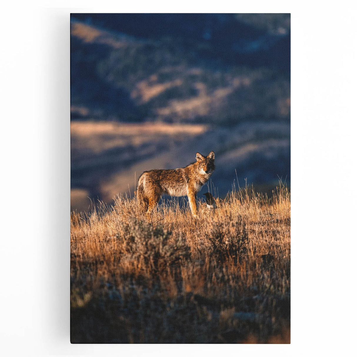 Black and white stretched canvas of Yellowstone scenery, ideal for kitchen wall art.