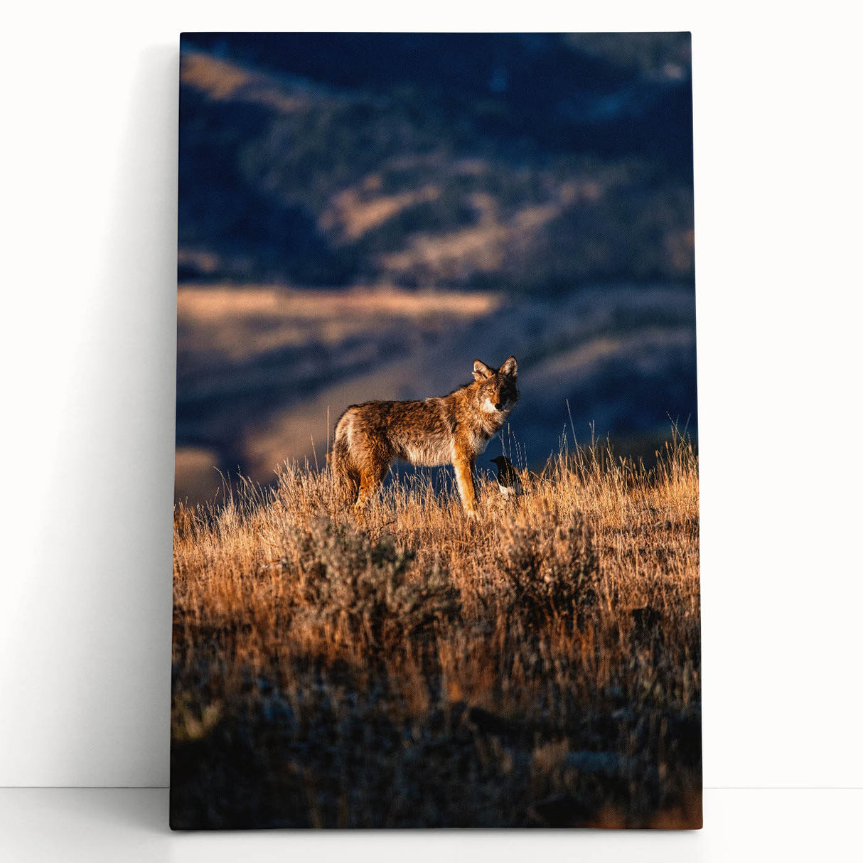 Black and white photograph of Yellowstone scenery on large stretched canvas, ideal for kitchen wall art or bedroom decor.
