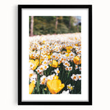 Extra large abstract art print featuring vibrant spring colors on textured canvas, framed in black.
