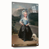 Famous Romantic Era Art: Portrait of María Teresa by Goya