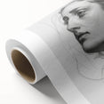 Abstract figurative art on rolled canvas showcasing vibrant colors and dynamic shapes, ideal for modern home decor, securely packaged in a protective tube.