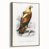 Romanticism Art: Eastern Imperial Eagle Illustration