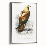 Romanticism Art: Eastern Imperial Eagle Illustration