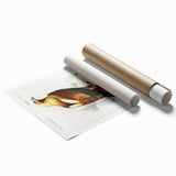 Romanticism Art: Eastern Imperial Eagle Illustration